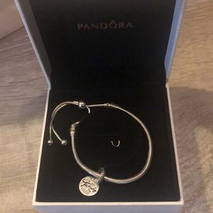 Pandora charm bracelet